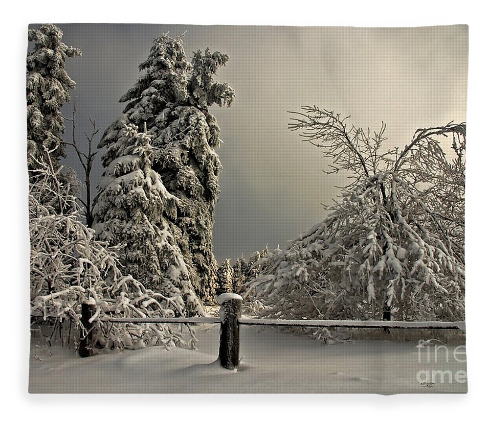 Snow Fleece Blanket featuring the photograph Heavy Laden by Lois Bryan