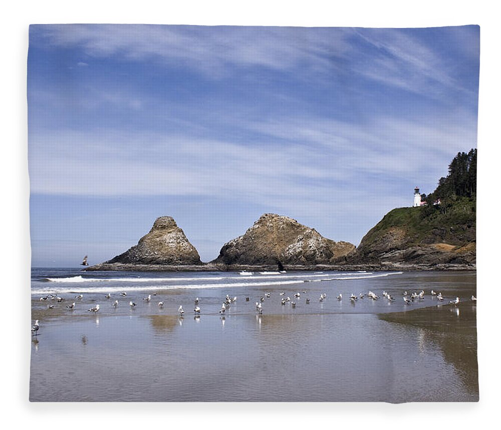 Landscape Fleece Blanket featuring the photograph Heceta Head Lighthouse 1 by Lee Santa