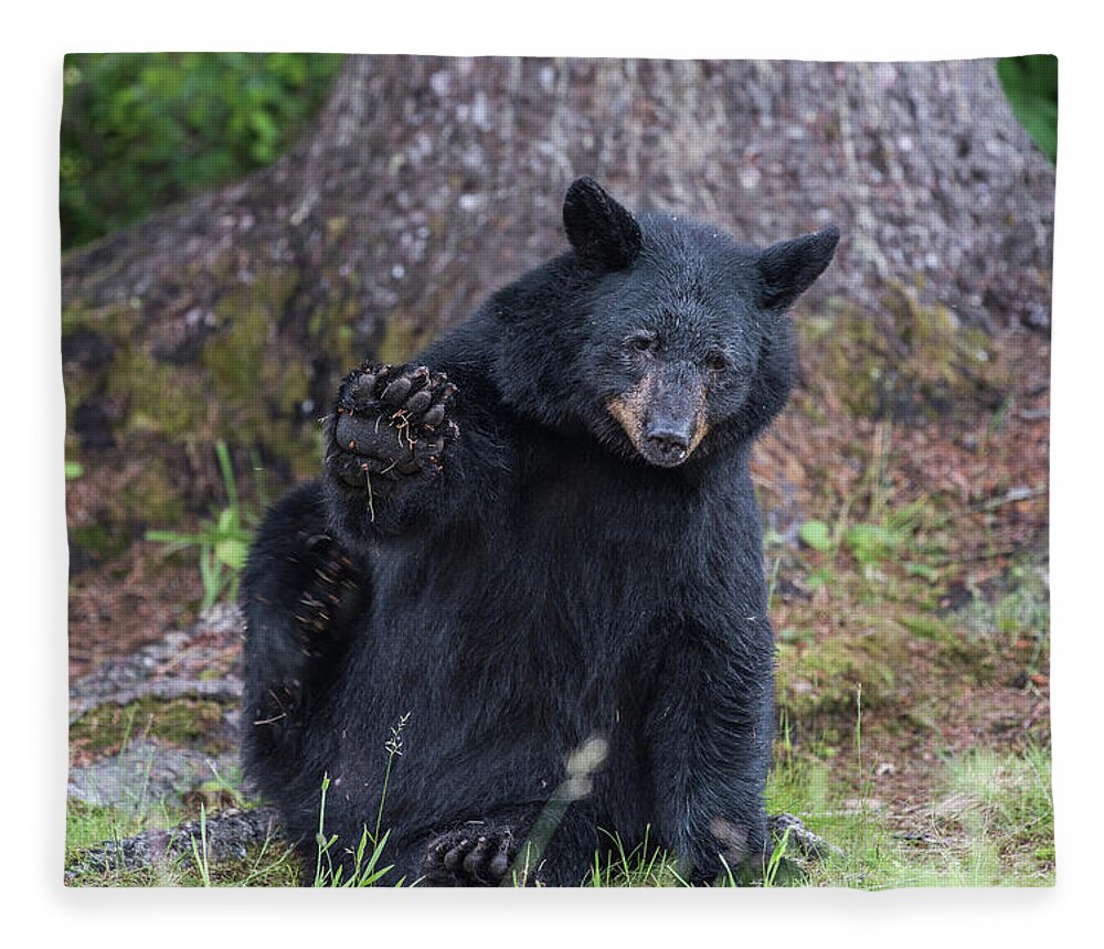 Black Bear Fleece Blanket featuring the photograph Hello by David Kirby