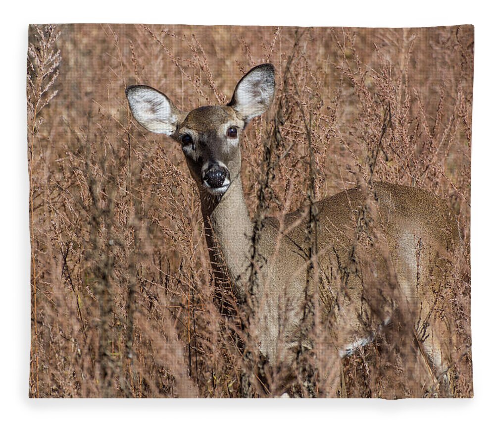 Wildlife Fleece Blanket featuring the photograph Hello by John Benedict