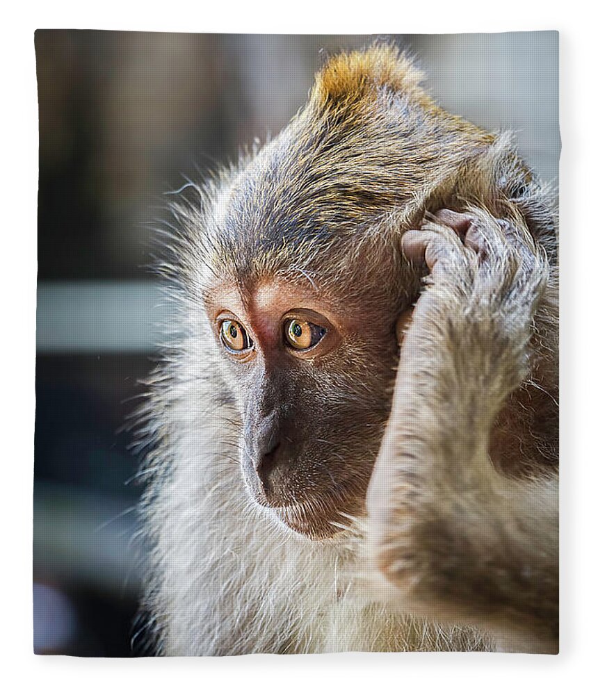 Monkey Fleece Blanket featuring the photograph Hello, Monkey Here by Rick Deacon