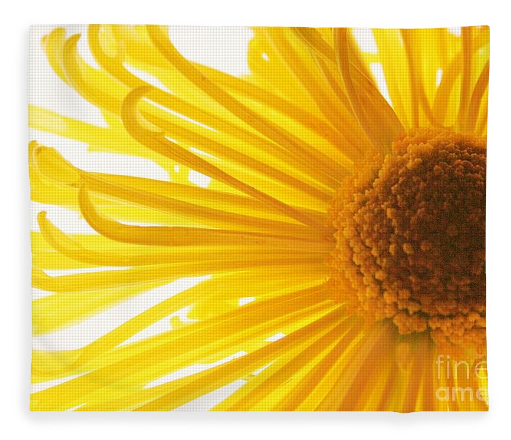Daisy Fleece Blanket featuring the photograph Hello Sunshine by Julie Lueders 