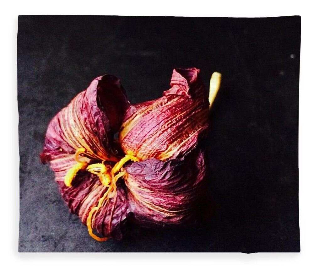 Flower Fleece Blanket featuring the photograph Here And Gone. Day Lily Has Seen Its by Ginger Oppenheimer