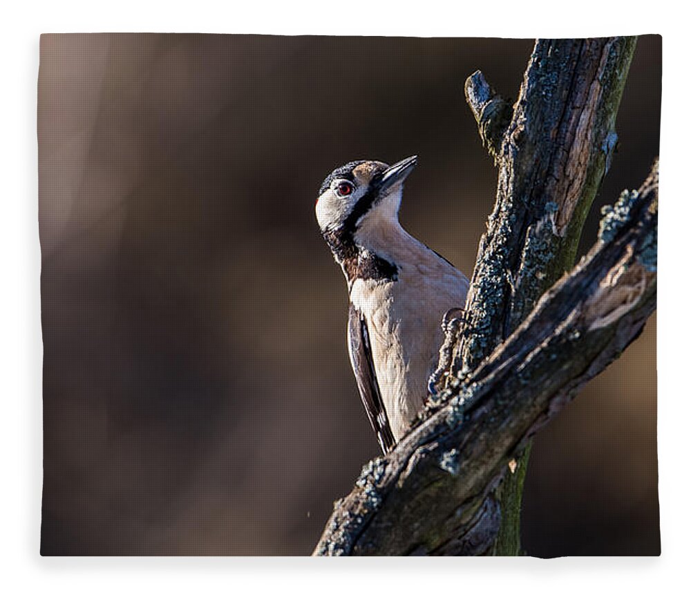 Woodpecker Fleece Blanket featuring the photograph Hiding by Torbjorn Swenelius
