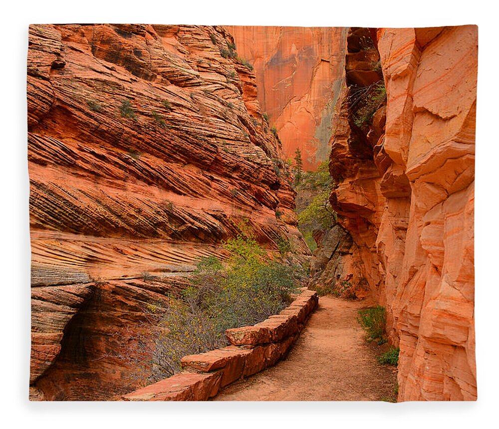 Hike To Observation Point In Zion National Park Fleece Blanket featuring the photograph Hike to Observation Point by Raymond Salani III