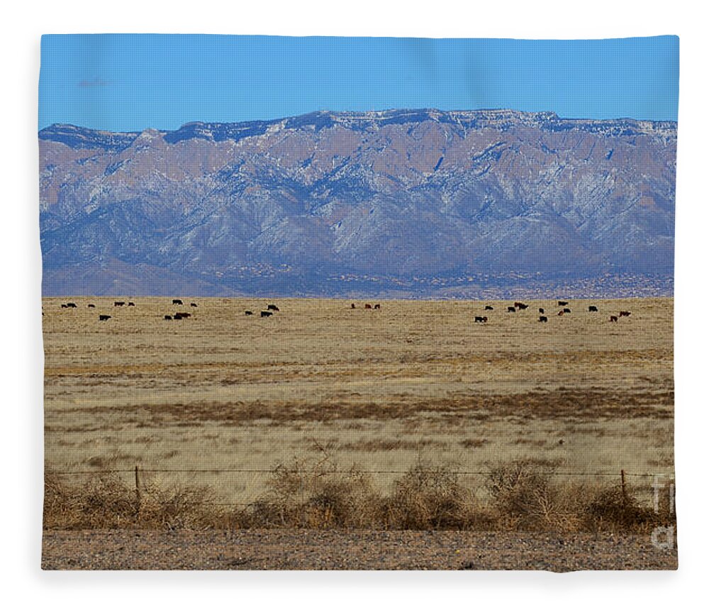 Southwest Landscape Fleece Blanket featuring the photograph Home on the range by Robert WK Clark