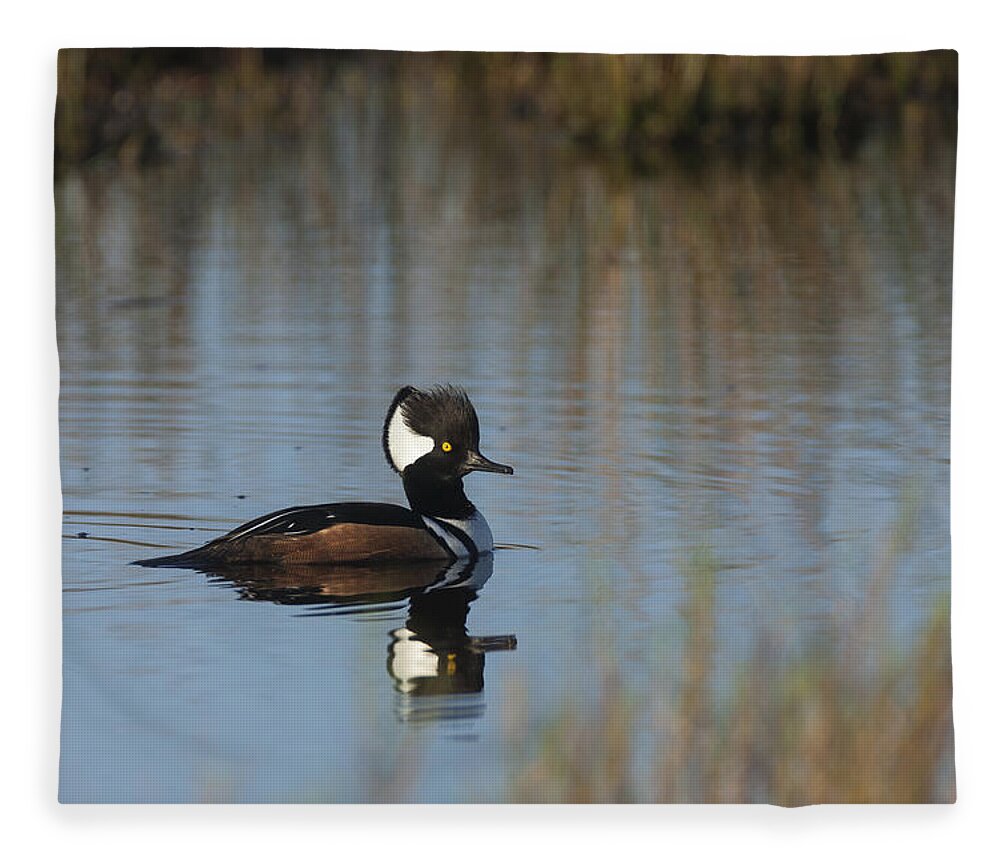 Hooded Fleece Blanket featuring the photograph Hooded Merganser in the early morning light by David Watkins