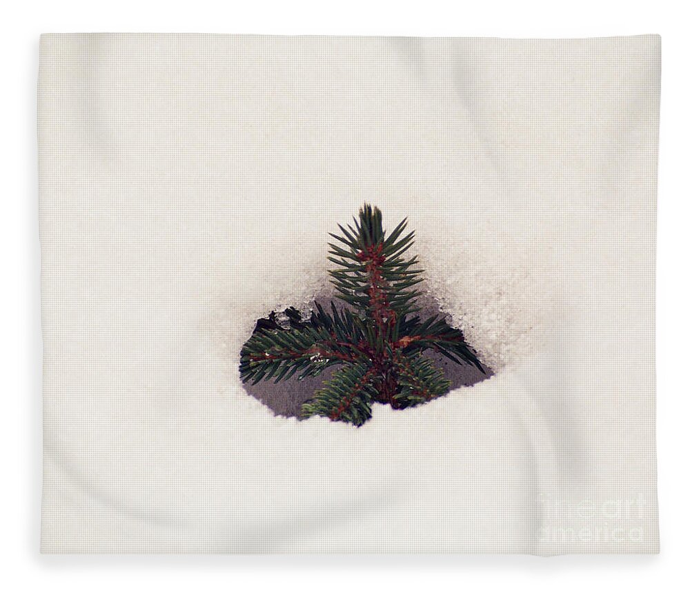Trees Fleece Blanket featuring the photograph Hope by Kathy McClure