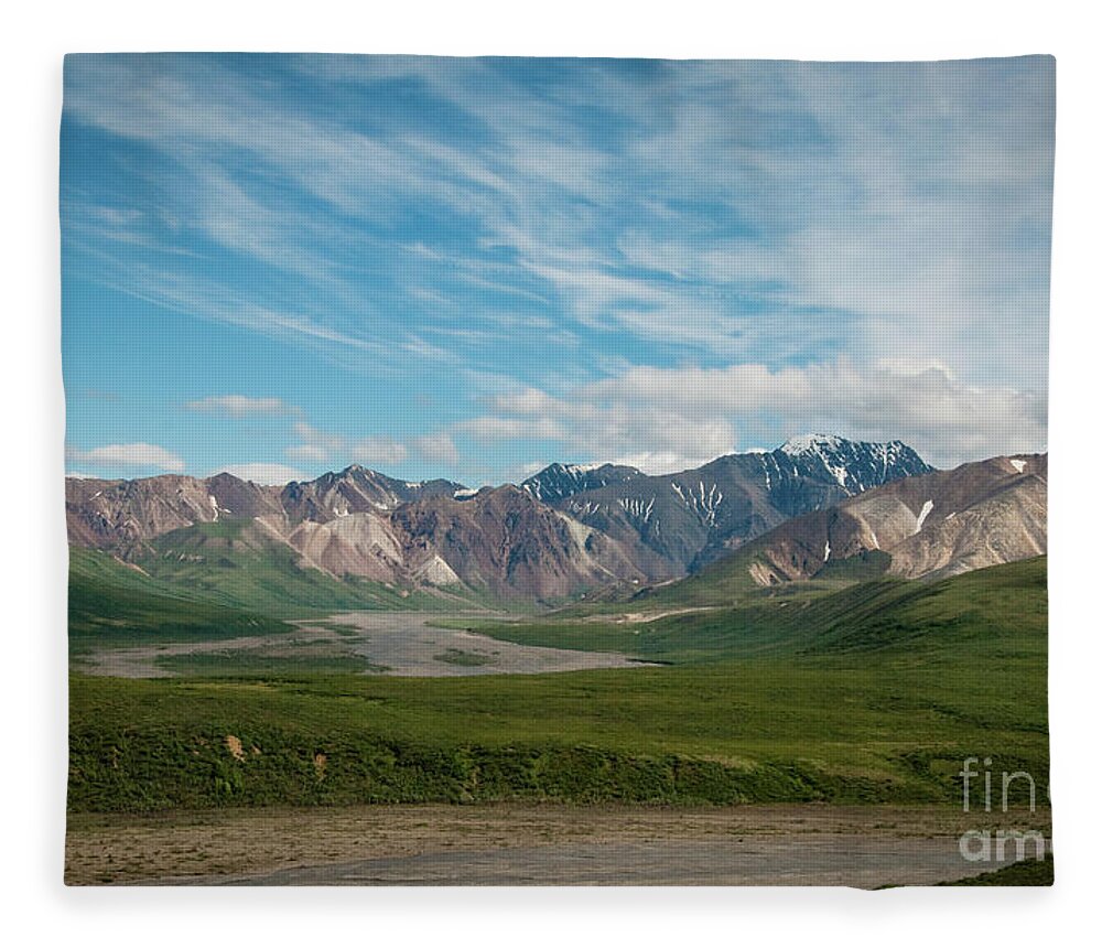 Alaska Fleece Blanket featuring the photograph Horizon by Ed Taylor