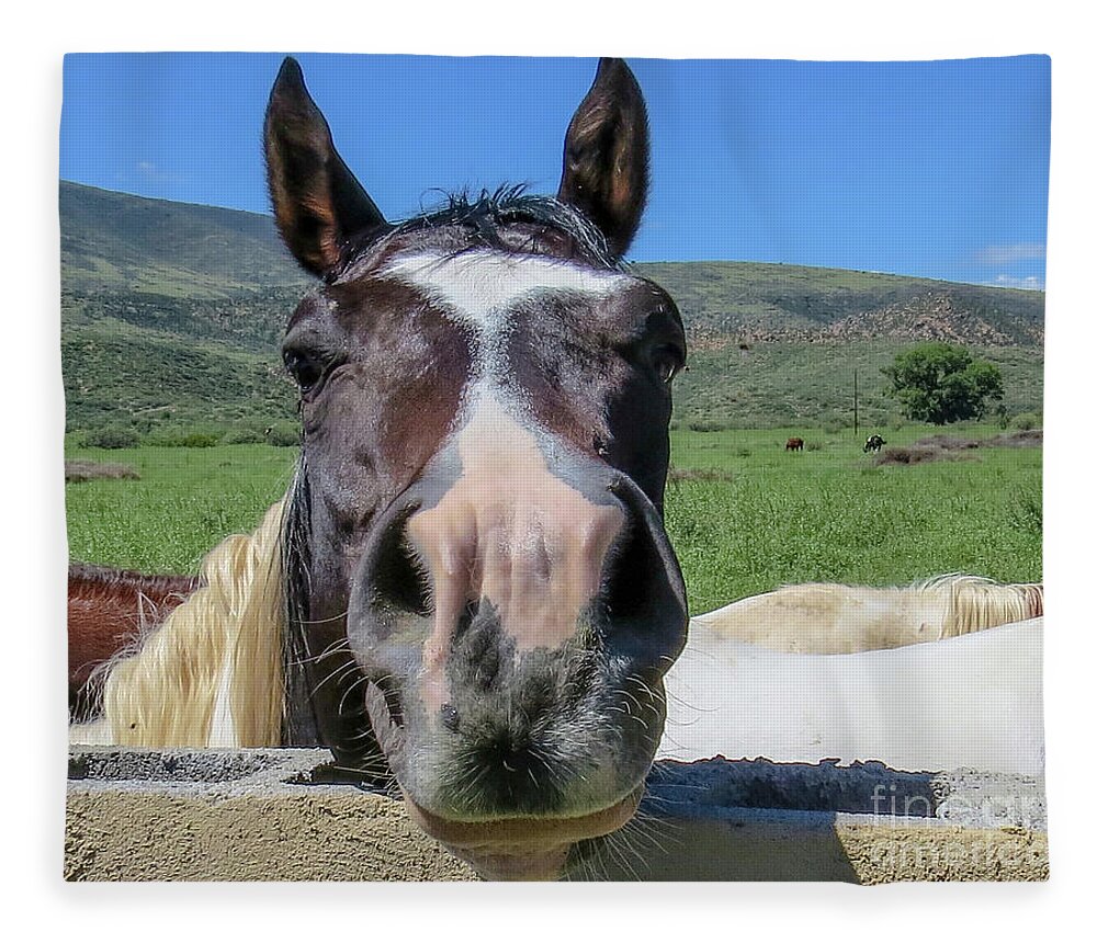 Horse Fleece Blanket featuring the photograph Horse 13 by Christy Garavetto