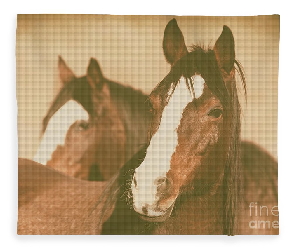 Horses Fleece Blanket featuring the photograph Horse Portrait by Ana V Ramirez