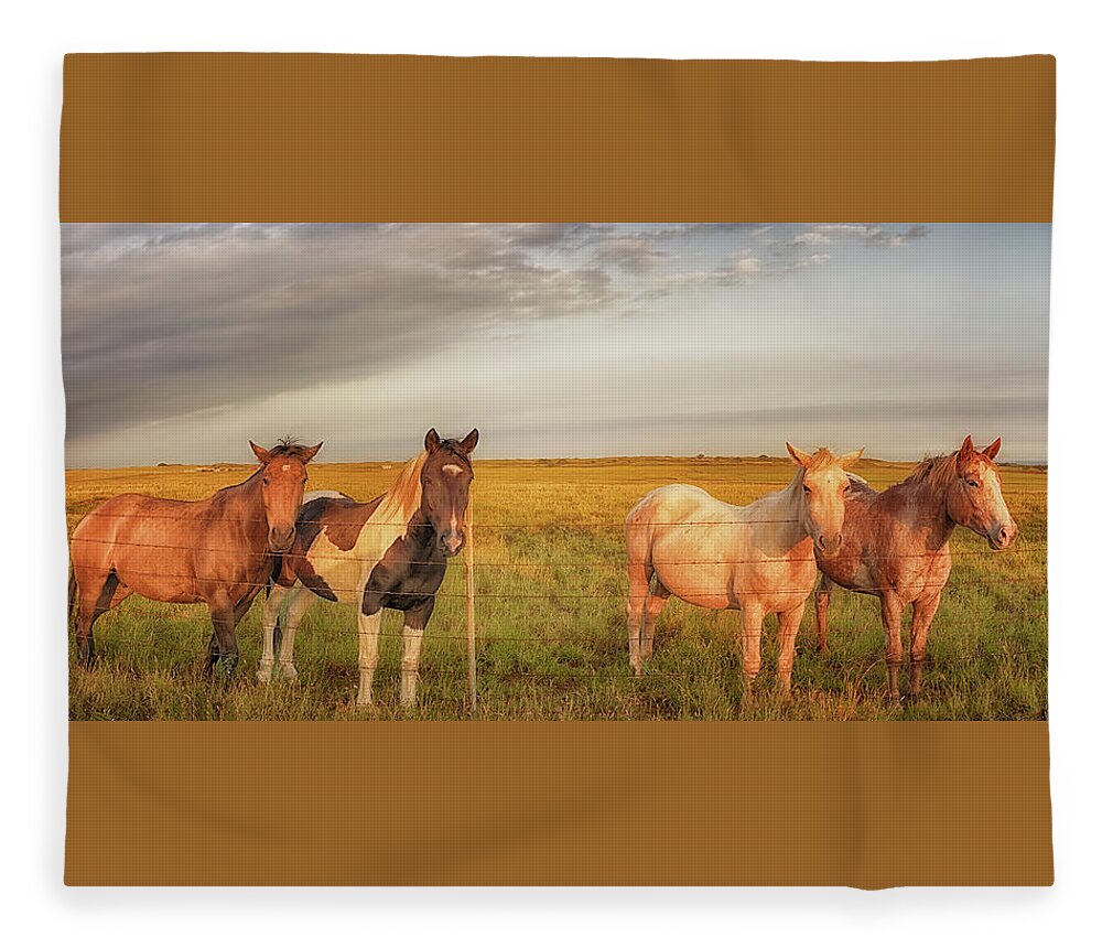 Horse Fleece Blanket featuring the photograph Horses at Kalae by Susan Rissi Tregoning