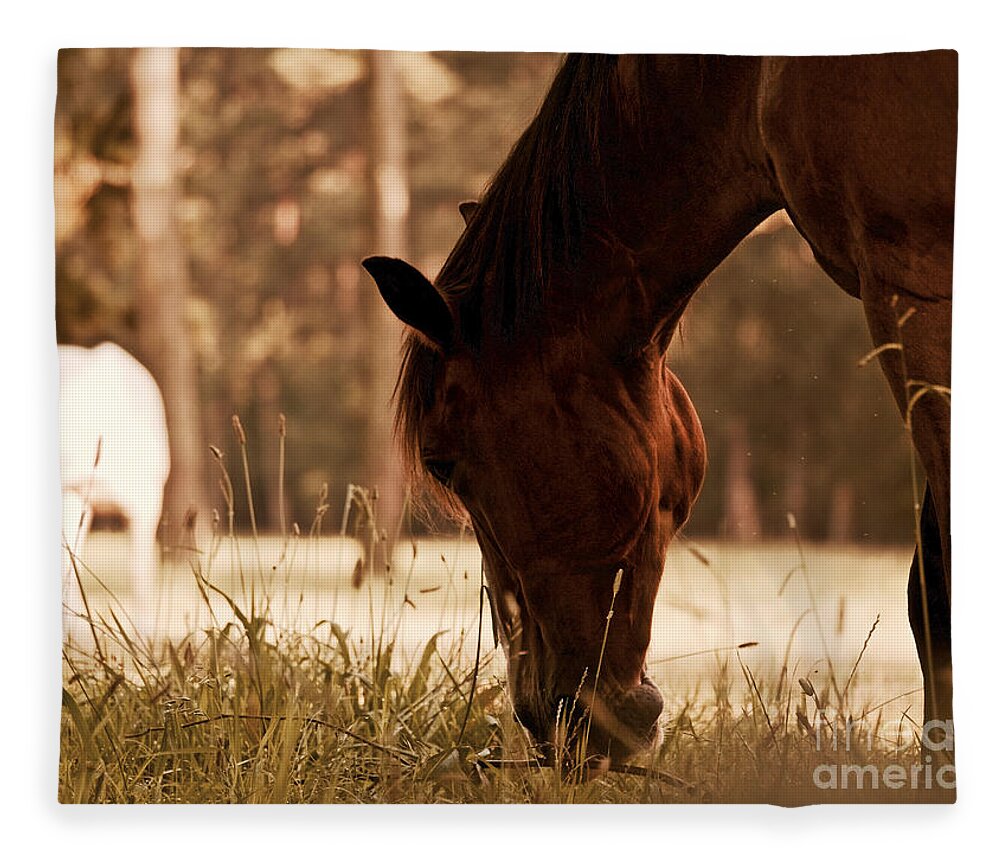 Horses Fleece Blanket featuring the photograph Horses Graze in the Evening by Rachel Morrison