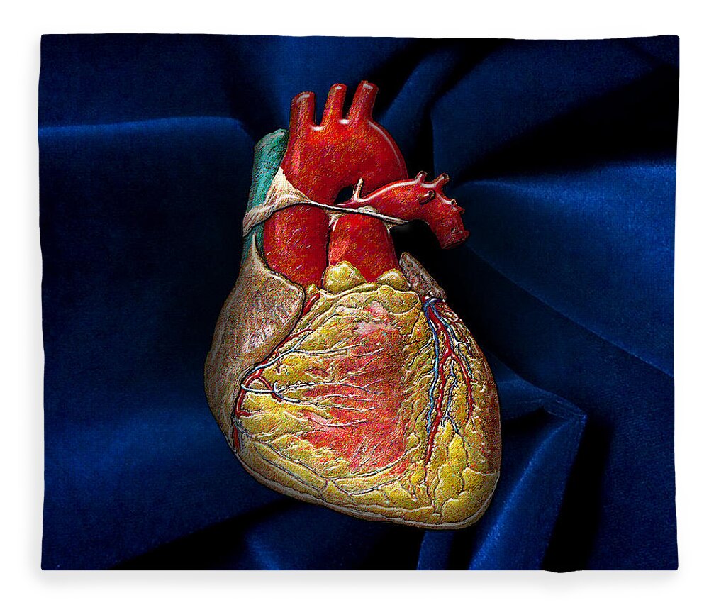 'inner Workings 3d' Collection By Serge Averbukh Fleece Blanket featuring the photograph Human Heart Over Blue Velvet by Serge Averbukh