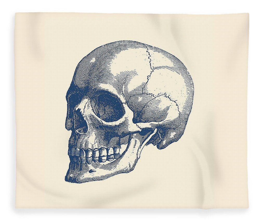 Skeleton Fleece Blanket featuring the drawing Human Skull - Vintage Anatomy Poster by Vintage Anatomy Prints