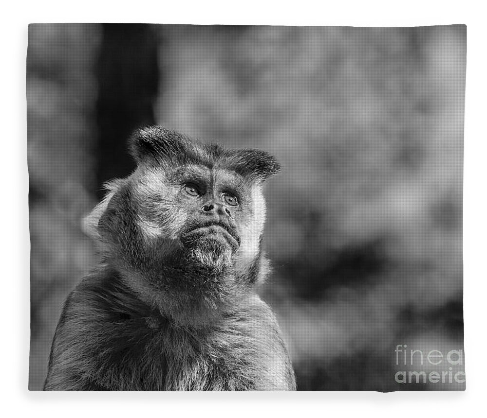 Monkey Fleece Blanket featuring the photograph Human Thoughts by Metaphor Photo