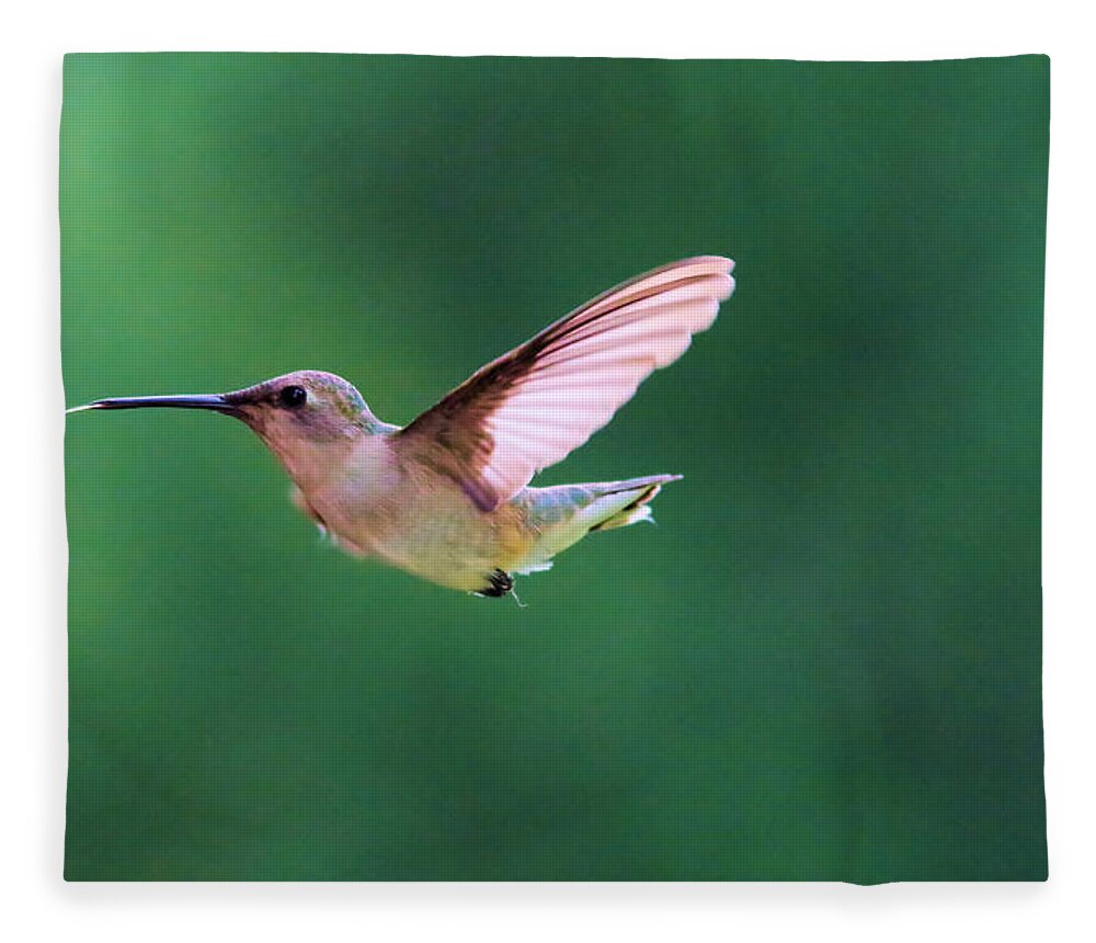 Bird Fleece Blanket featuring the photograph Hummingbird flickering its tongue by Jeff Swan