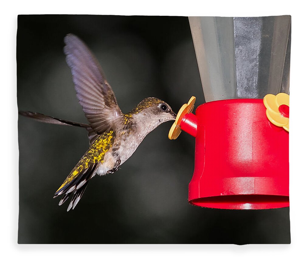 Hummingbird Fleece Blanket featuring the photograph Hummingbird Gets A Drink by Holden The Moment