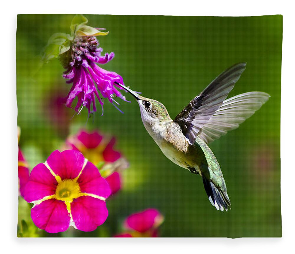 Hummingbird Fleece Blanket featuring the photograph Hummingbird with Flower by Christina Rollo