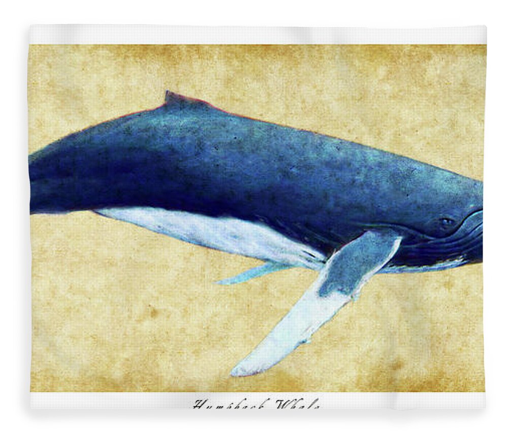 Humpback Fleece Blanket featuring the photograph Humpback Whale painting - framed by Weston Westmoreland