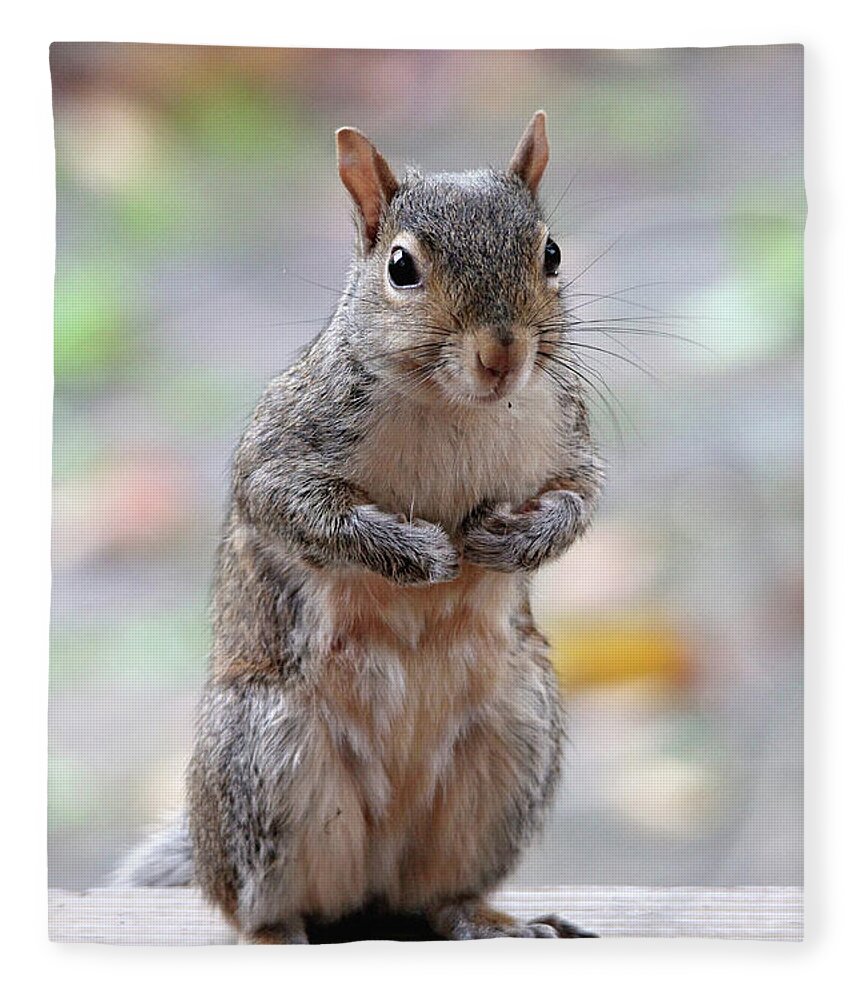Squirrels Fleece Blanket featuring the photograph I Love Peanuts by Trina Ansel