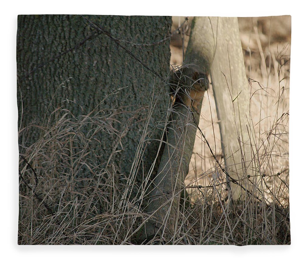 Squirrel Fleece Blanket featuring the photograph I see you by Troy Stapek