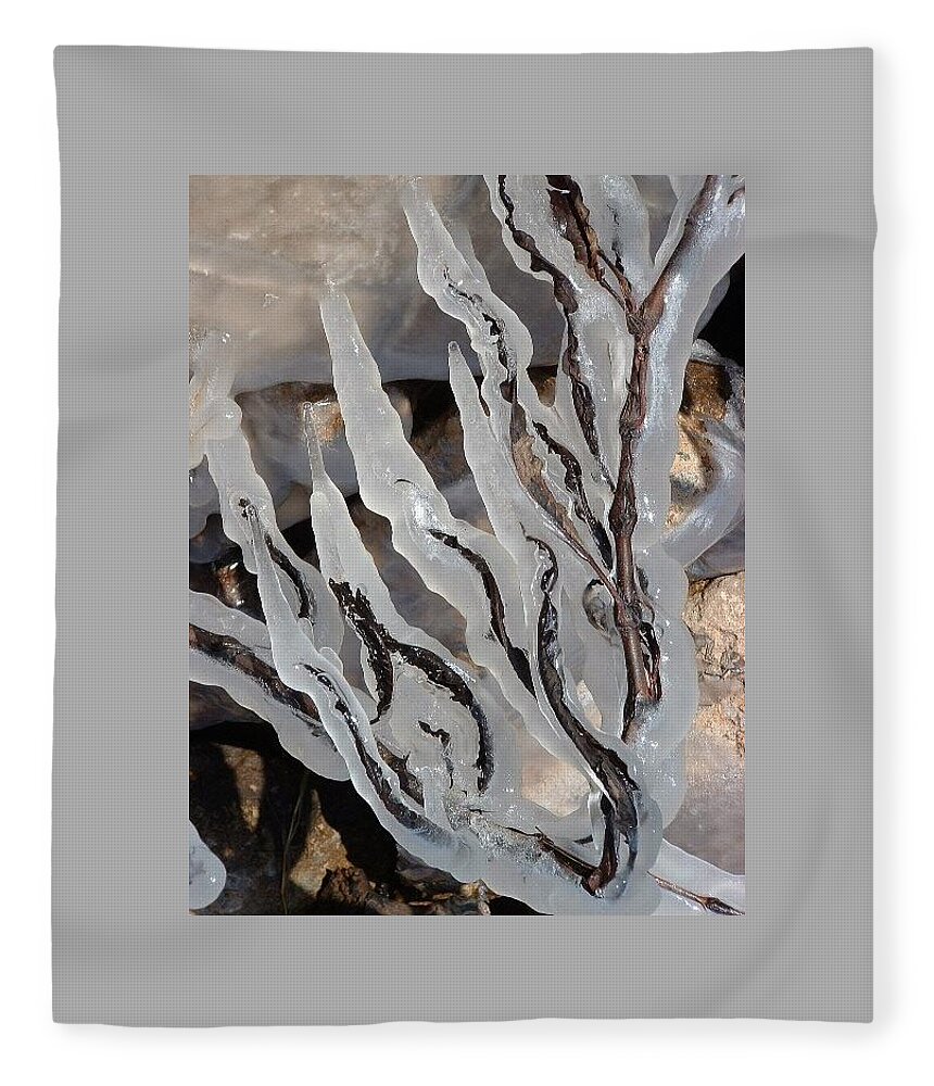 Ice Fleece Blanket featuring the photograph Ice Branches by Annekathrin Hansen