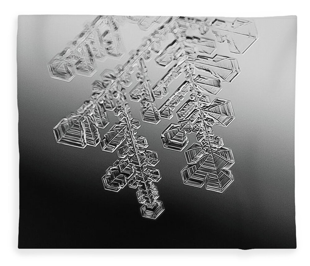 Frost Fleece Blanket featuring the photograph Ice Feather by Tim Kirchoff