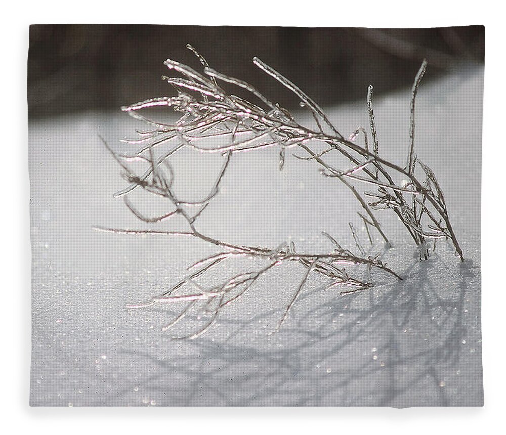 Ice Fleece Blanket featuring the photograph Iced by DArcy Evans