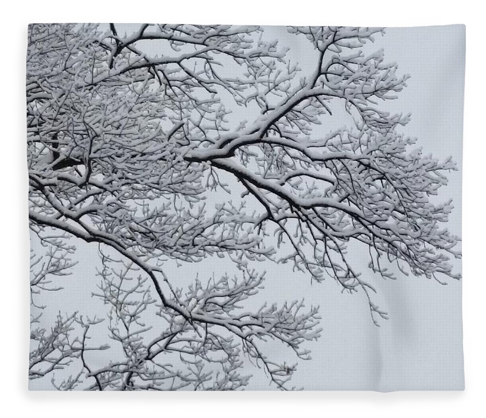 Ice Fleece Blanket featuring the photograph Icey Winter Branch by Vic Ritchey