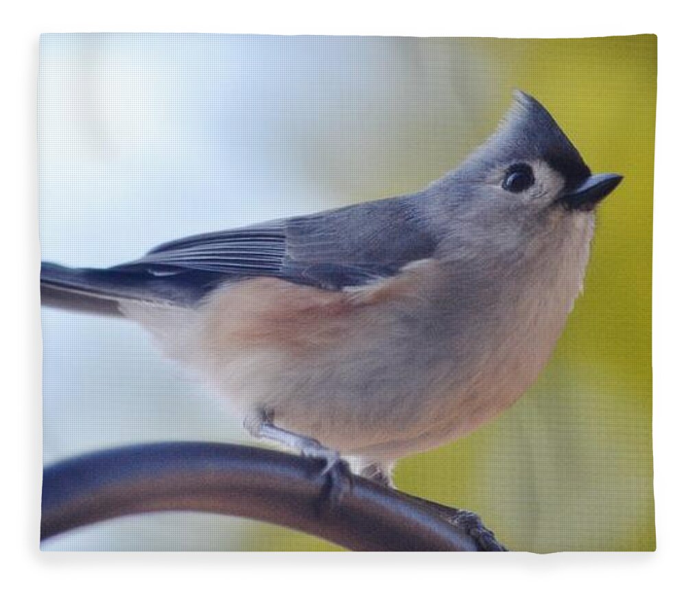 Wild Birds Fleece Blanket featuring the photograph Tufted Titmouse by Eileen Brymer