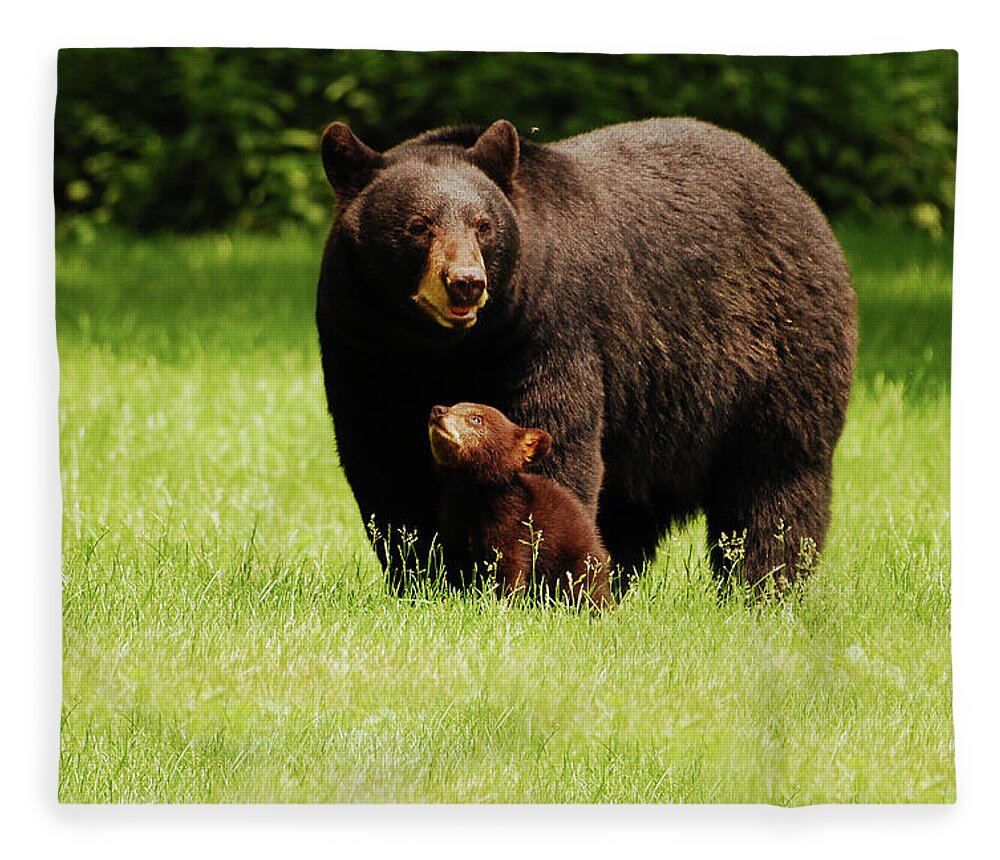 Black Bear Fleece Blanket featuring the photograph I'll Always Look Up To You by Lori Tambakis