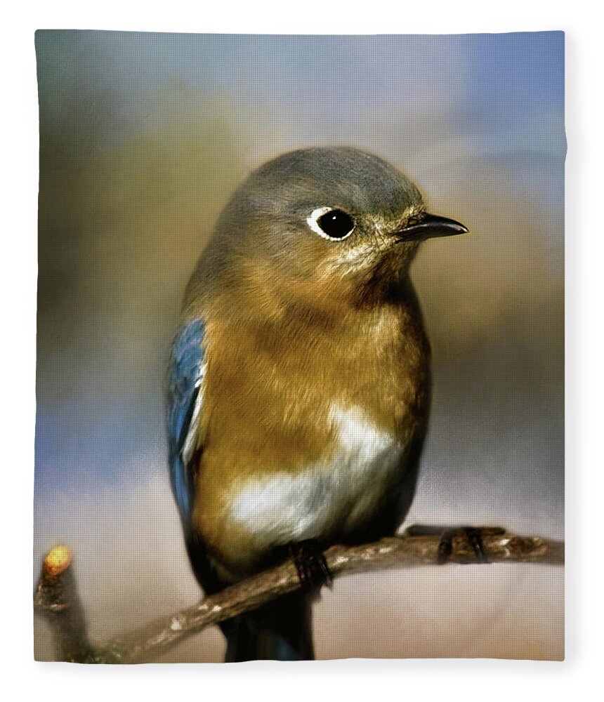 Animal Fleece Blanket featuring the photograph I'm a Bluebird by Lana Trussell