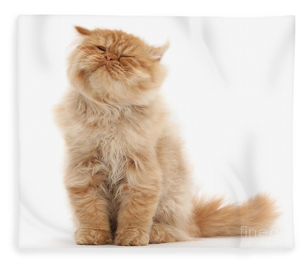 Ginger Persian Fleece Blanket featuring the photograph I'm in denial by Warren Photographic
