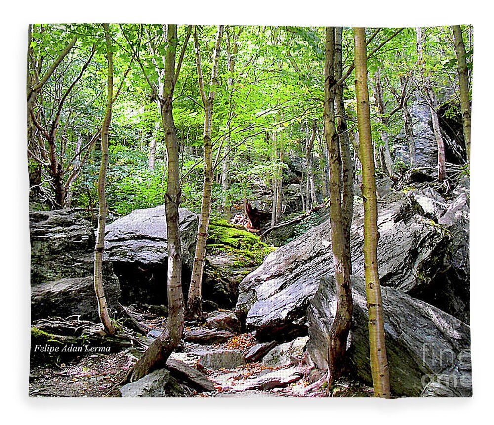 Novel Fleece Blanket featuring the photograph Image Included in Queen the Novel - Rocks at Smugglers Notch Enhanced by Felipe Adan Lerma