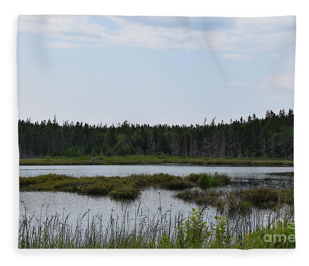 Landscape Fleece Blanket featuring the photograph Images from Mt. Desert Island Maine 1 by Barrie Stark