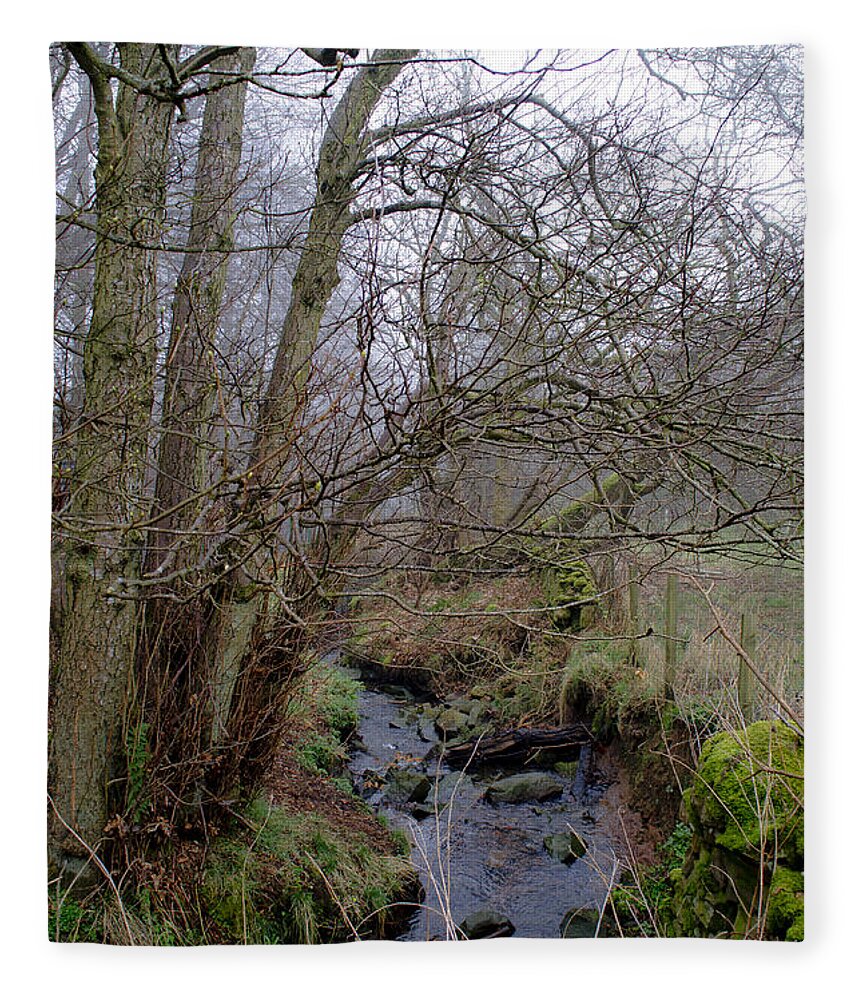 Stream Fleece Blanket featuring the photograph In the Forest. by Elena Perelman