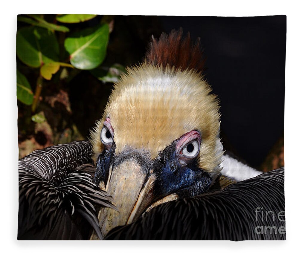 Pelican Fleece Blanket featuring the photograph In Your Watch by Lorenzo Cassina