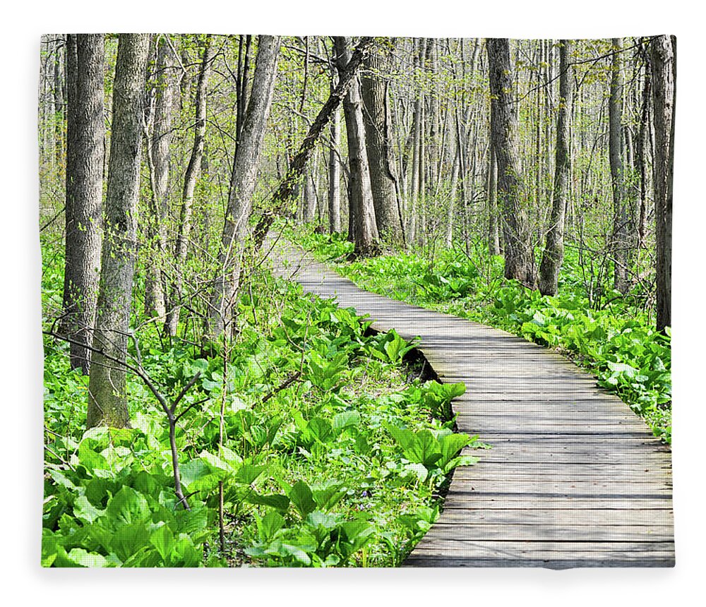 Indiana Dunes National Lakeshore Fleece Blanket featuring the photograph Indiana Dunes Great Green Marsh Boardwalk by Kyle Hanson