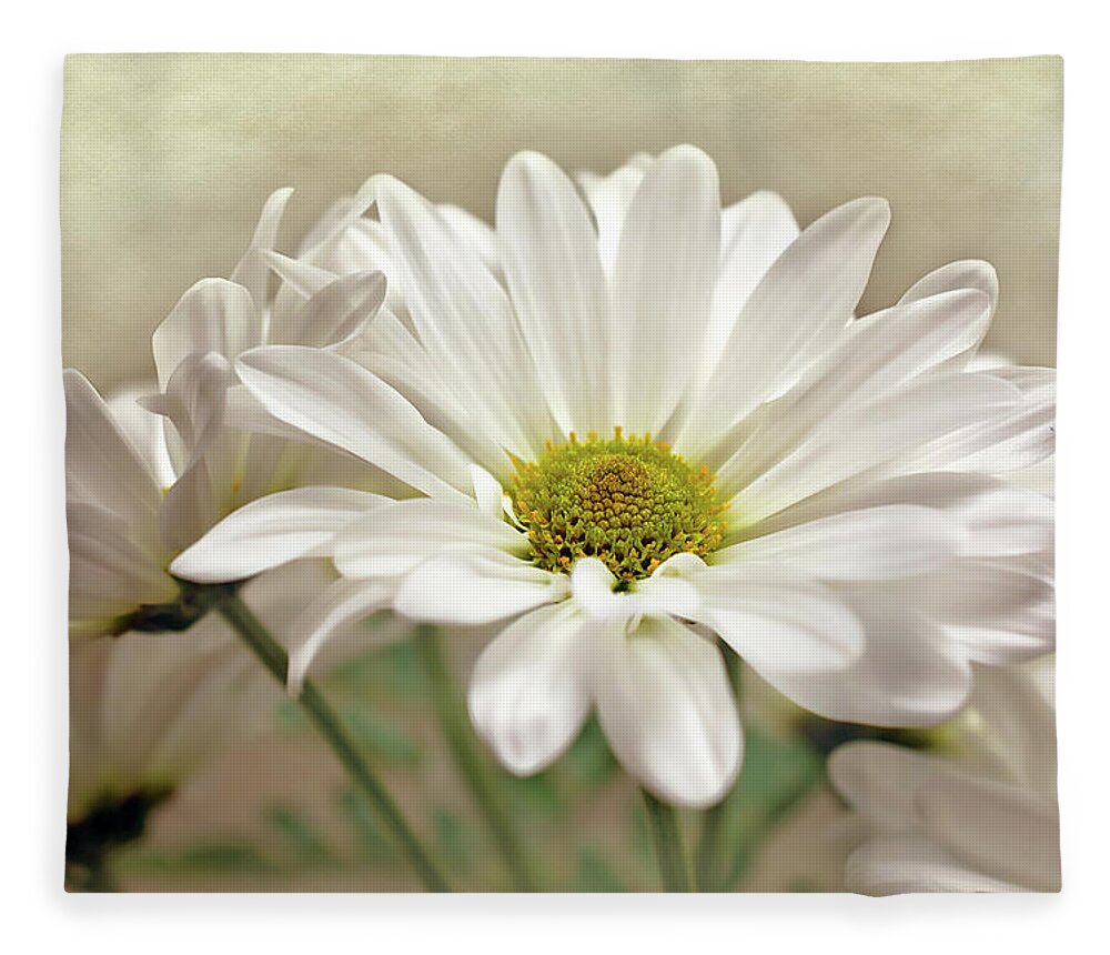 Daisies In Light Photo Fleece Blanket featuring the photograph Inspired Daisies Print by Gwen Gibson