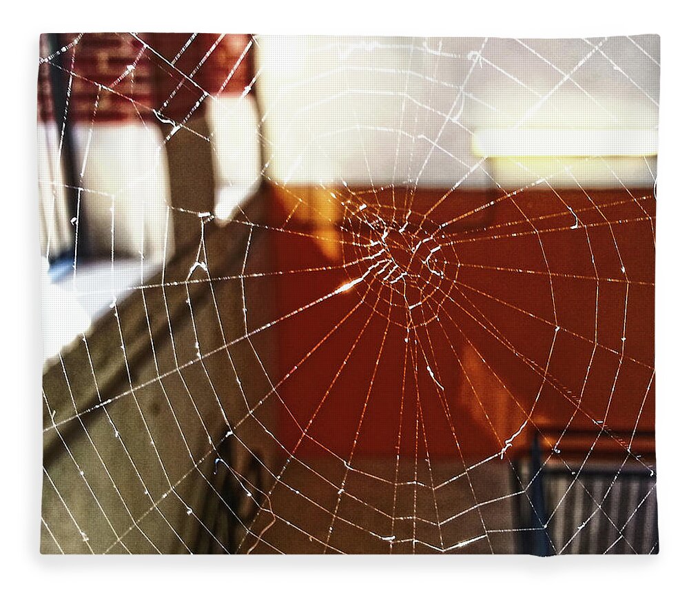 Spider Fleece Blanket featuring the photograph Intact Abandonment by Robert Knight
