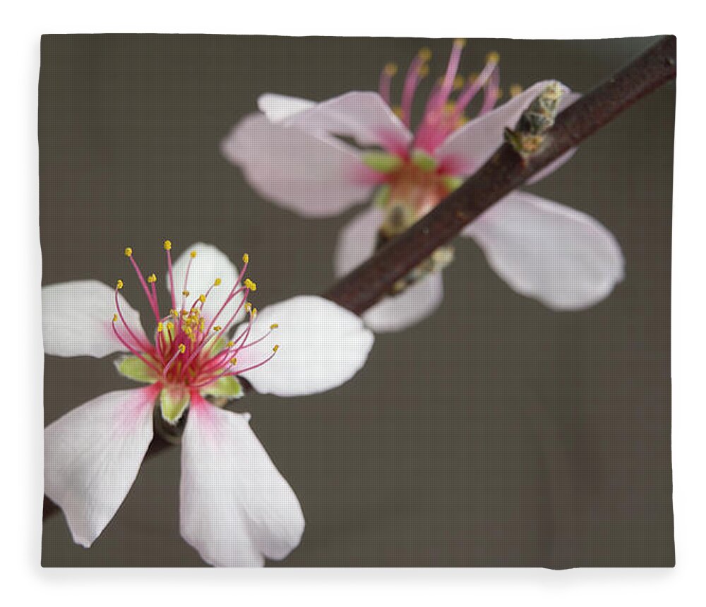 Blossom Fleece Blanket featuring the photograph Intimacy by Elena Perelman