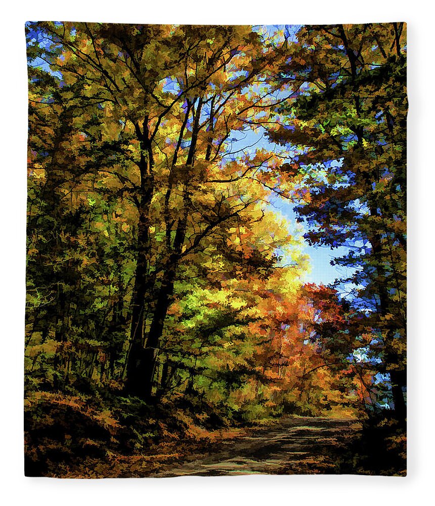 2006 Fleece Blanket featuring the photograph Into the Woods by Monroe Payne