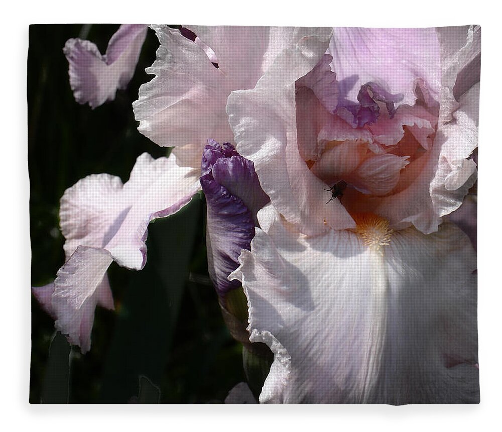 Flower Fleece Blanket featuring the photograph Iris Lace by Steve Karol