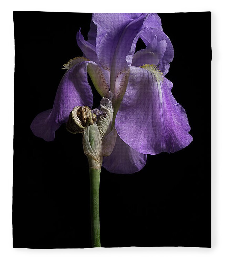 Purple Iris Fleece Blanket featuring the photograph Iris Series 1 by Mike Eingle