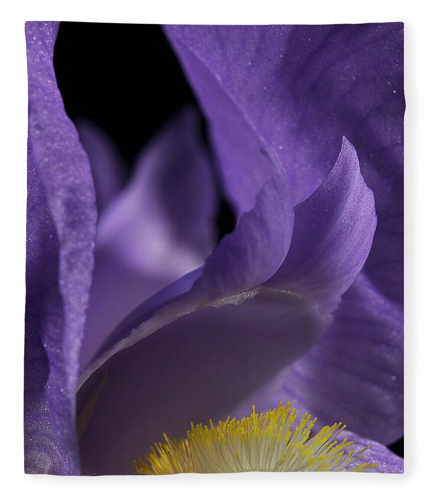 Purple Iris Fleece Blanket featuring the photograph Iris Series 2 by Mike Eingle