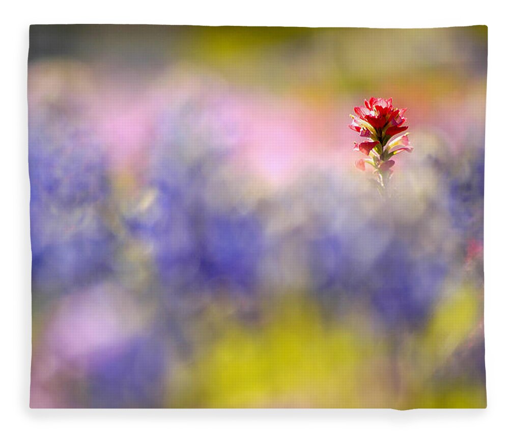 Paintbrush Fleece Blanket featuring the photograph Isolated Paintbrush by Ted Keller