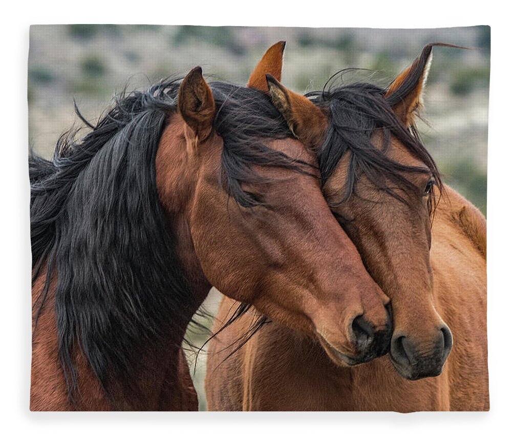 Mustangs Fleece Blanket featuring the photograph Jake and Wilma by John T Humphrey