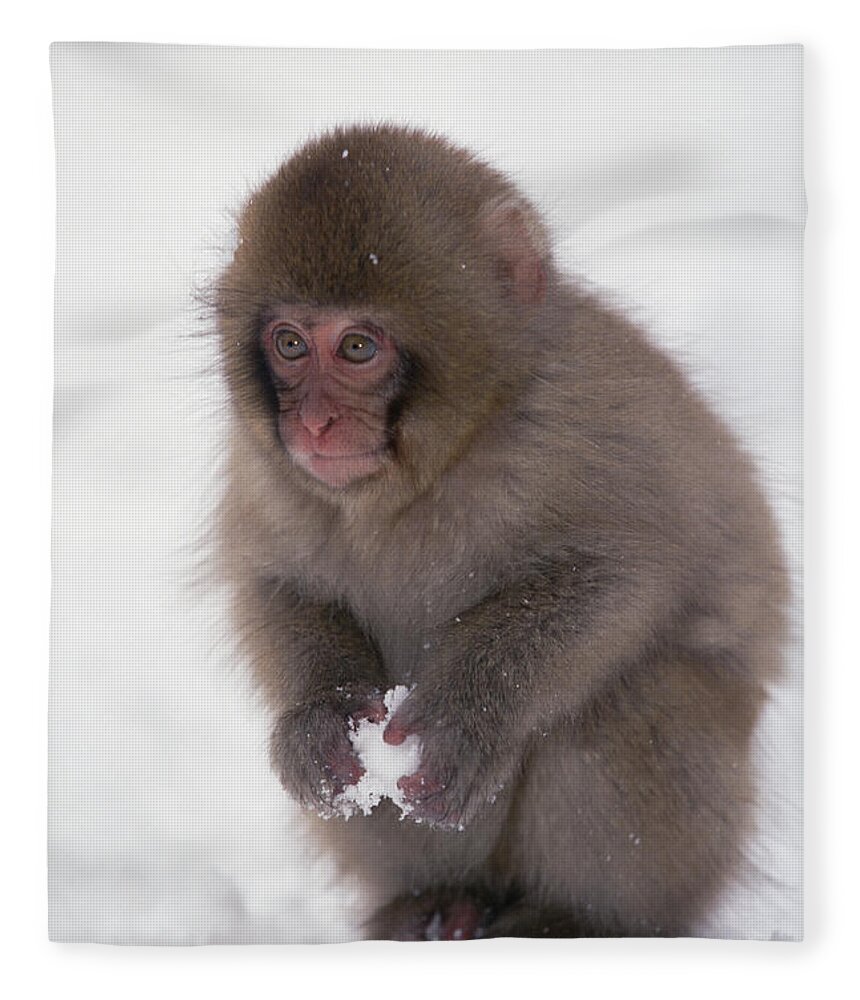 Mp Fleece Blanket featuring the photograph Japanese Macaque Macaca Fuscata Baby by Konrad Wothe