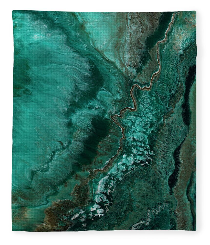 Teal Fleece Blanket featuring the painting Java by Tamara Nelson